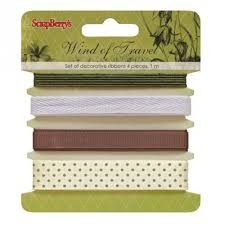 TASIEMKI ScrapBerry's 4x1m WIND OF TRAVEL SCB390510