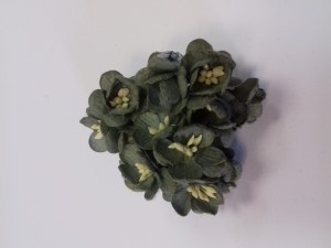 KWIATY WIŚNI ZIELONE KHAKI 5SZT