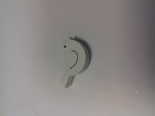 20190719_101302.jpg