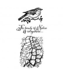 STEMPLE KAUCZUKOWE COSMOS BY CRISTINA RADOVAN WTKCCR02 STAMPERIA