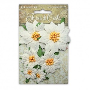 STAMPERIA GWIAZDA BETLEJEMSKA BIAŁ 6SZT SF143