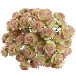 2-TONOWE SZAMPAŃSKIE.png