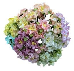 KWIATY GARDENIA MINI CIEMNY RÓŻ 5SZT