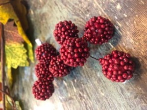 MALINA CZERWONA 4szt