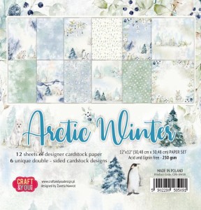 ZESTAW PAPAIERÓW 30X30 ARCTIC WINTER CRAFT&YOU