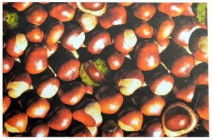 PAPIER NATURA 24X34 CM KASZTANY