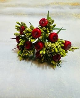 IMG_2970.jpg