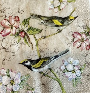 SERWETKA IHR BIRDS SYMPHONY