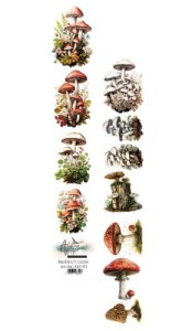 PASEK DO WYCINANIA JESIEŃ AA-IAC-EXT-01 