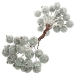 OWOC GŁOGU OSZRONIONY 10MM OK 40SZT SREBRNY