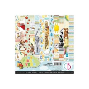 ZESTAW PAPIERÓW 15X15 MY FIRST YEAR 24SZT CBQ042 CIAO BELLA