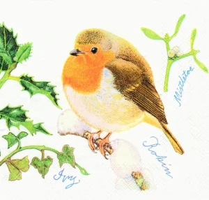SERWETKA PTASZEK -CHRISTMAS ROBIN 1SZT AMBIENTE