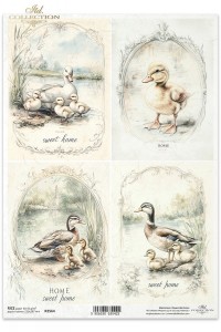 PAPIER RYŻOWY A4 R2564 KACZKI ITD COLLECTION