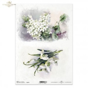 PAPIER RYŻOWY A4 R1974 ZAWILEC, PRZEBIŚNIEGI ITD COLLECTION