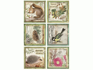 PAPIER RYŻOWY A4 DFSA4425