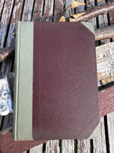 STARA KSIĄŻKA Eric Williams "Koń Trojański" BORDOWA