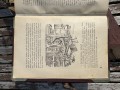 IMG_1275.jpeg