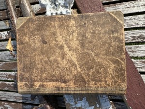 STARA KSIĄŻKA Michał Rusinek "Ziemia miodem płynąca" MIODOWA OKŁADKA