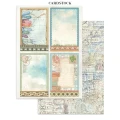 17.webp