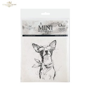 ZESTAW PAPIERÓW RYŻOWCHY ITD RSM255 6SZT