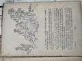 IMG_2266.jpeg