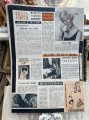IMG_2377.jpeg