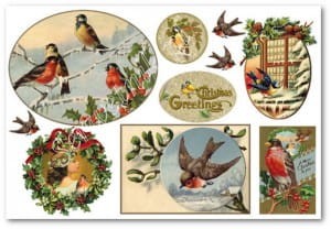 PAPIER RYŻOWY 48X33 PTAKI DFS229 STAMPERIA