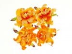 KWIATKI ScrapBerry's GARDENIA 5CM 4SZT żółto-orange-kremowy SCB290112