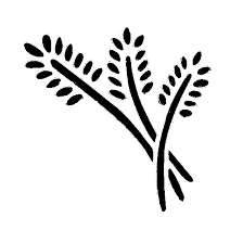 MASKA - SZABLON 7,5X8CM GAŁĄZKI ST-SM11