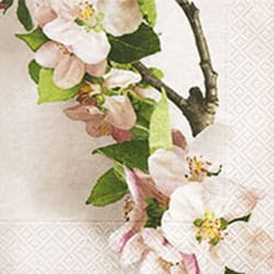 SERWETKA PAPER KWIAT JABŁONI