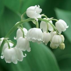 9becbe4022164335db6b5d8fbc08b121c81a25f2