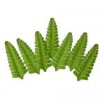 LIŚCIE ScrapBerry's 7szt FERN ZIELONE SCB300603