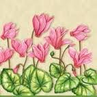 3fde79be9651bc9636cd39b8dc34f1e6b49581c1