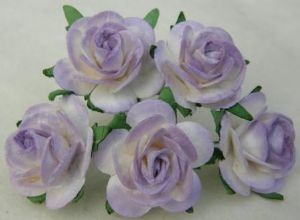 0e38d6223ecbf4c7e63d6a7b2b491b13abd13177