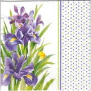 c35b43945dcb81ddf7586296a7afdd4be2c49511