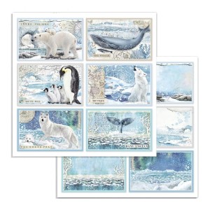 PAPIER 30X30 ARCTIC ANTARCTIC SBB732 6 KART STAMPERIA