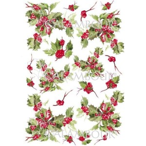 PAPIER RYŻOWY 35X50 DIGITAL OSTROKRZEW  PAU12 CALAMBOUR