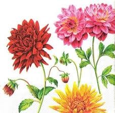 SERWETKA IHR DAHLIA CREAM L542560