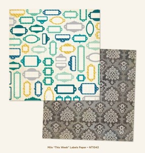 PAPIER 30x30 - now and then LABELS - SREBRNY NT1043