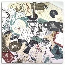 DODATKI ZESTAW PRZYRODA Cabinet de curiosites 40szt FPD82 TOGA