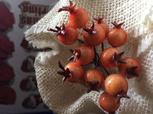 OWOC GŁOGU POMARAŃCZOWY 12SZT