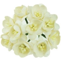 KWIATY WIŚNI IVORY 5 SZT