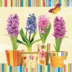 8d33fec20183d56f2e4bedddae3ca6bee53f2e9e