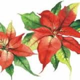 SERWETKA AMBIENTE POINSETT JOEL 33304300