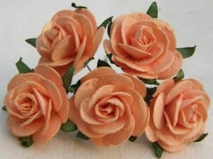 dcd3f2926e7761d7d7ab323489675e1f7bea40b4